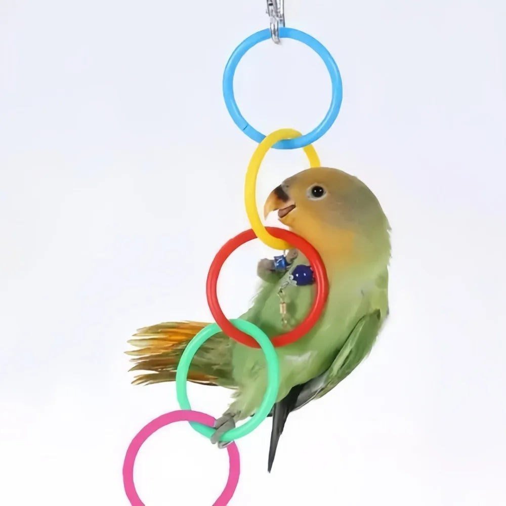 Colorful Plastic Hanging Ring Toy Birds Use To Play and Relieve Boredom Climbing Swing Interactive Toy for Bird Cage Accessories