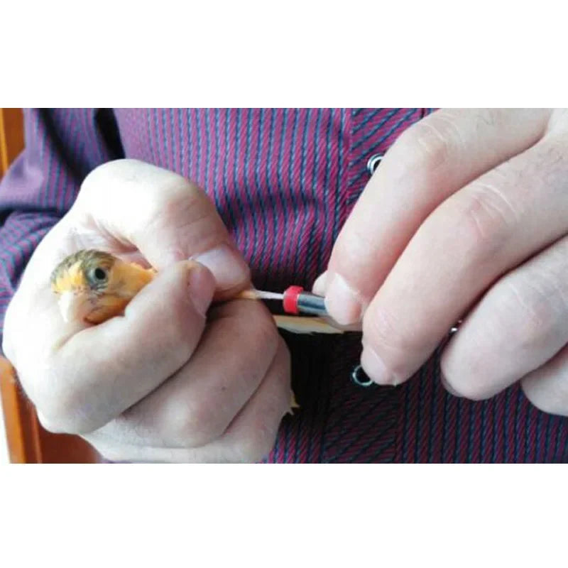 200 pcs Bird Ring Leg Bands for Parrot Finch Canary Gouldian diameter 3mm 4mm 5mm Bird foot Ring Color random delivery