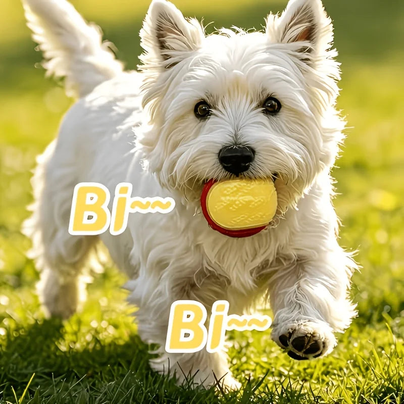 2/3Pcs Glow In The Dark Dog Squeaky Ball Toy, Bite Resistant Elastic TPR Rubber Teeth Cleaning Chew Ball, Random Colors