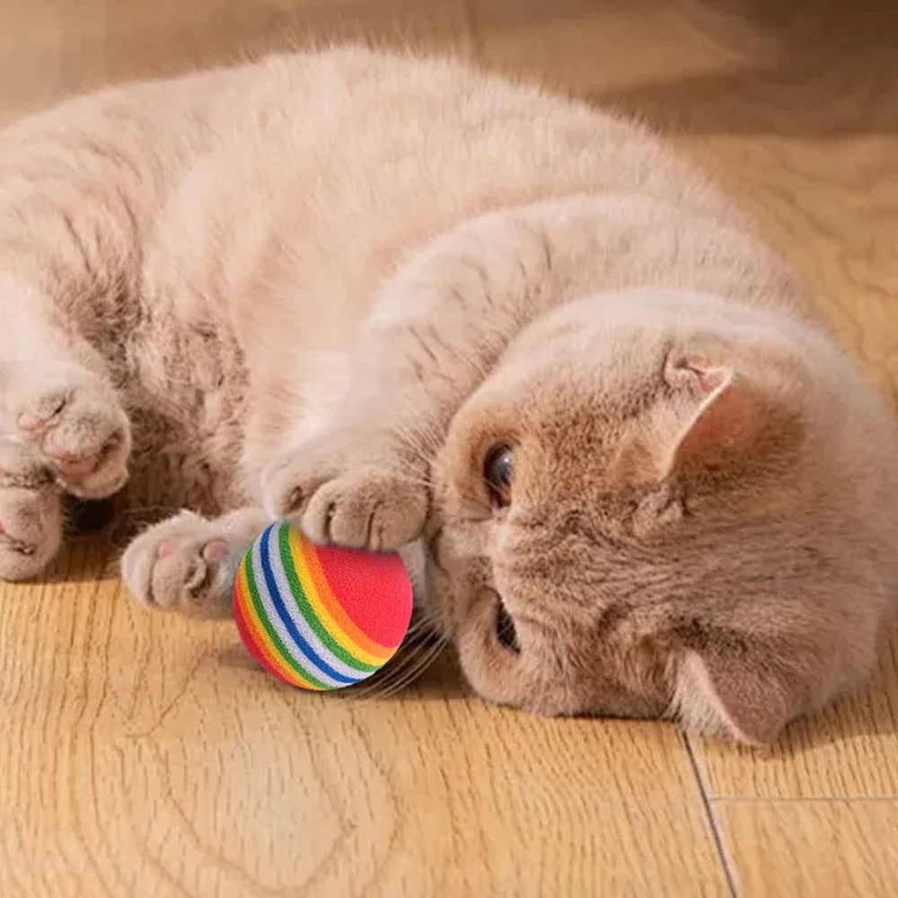 50/10PCS Pet Toy Balls Interactive Rainbow EVA Balls Cat Dog Training Toys Soft Automatic Jumping Balls Pet Playing Supplies