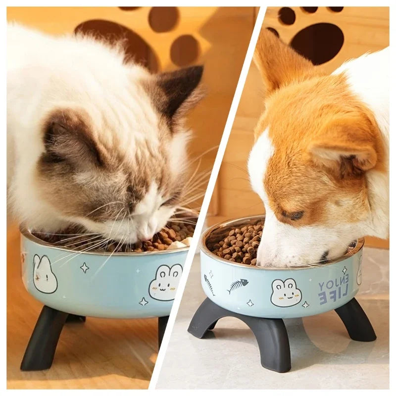 Stainless Steel Pet Bowl – Anti-Tip Elevated Design with Non-Slip Silicone Base & Chew-Proof Edge for Small Cats/Dogs Feeding