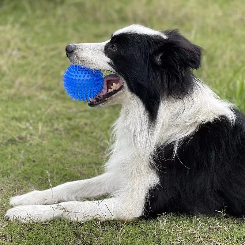Dog Toy Ball High Elastic TPR Squeaky Spike Ball Durable Chew Resistant Teeth Cleaning Molar Interactive Play Ball For Dog Toy